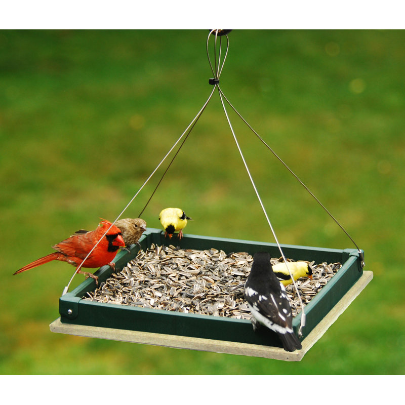 Songbird Essentials Hunter Hanging Platform Driftwood Tray Bird Feeder